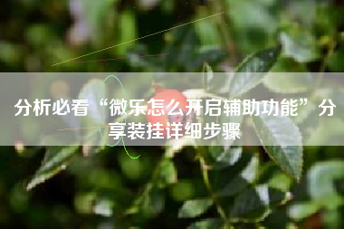 分析必看“微乐怎么开启辅助功能	”分享装挂详细步骤