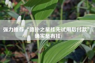 强力推荐“德扑之星挂先试用后付款”(确实是有挂)