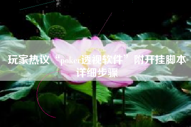 玩家热议“poker透视软件	”附开挂脚本详细步骤