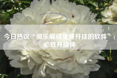 今日热议“微乐麻将免费开挂的软件	”(必胜开挂神