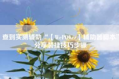 查到实测辅助“【WePOKer】辅助器脚本”分享装挂技巧步骤