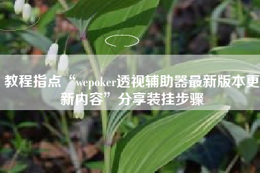 教程指点“wepoker透视辅助器最新版本更新内容	”分享装挂步骤