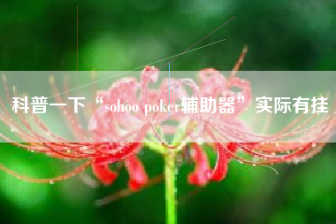 科普一下“sohoo poker辅助器”实际有挂