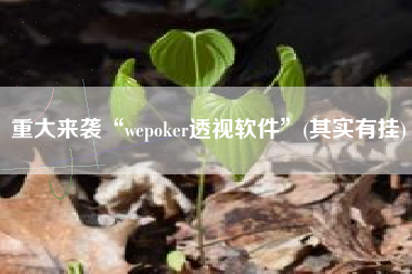 重大来袭“wepoker透视软件”(其实有挂)
