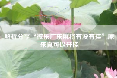 解析分享“微乐广东麻将有没有挂”原来真可以开挂