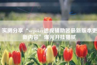 实测分享“wepoker透视辅助器最新版本更新内容”爆光开挂猫腻