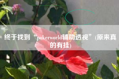 终于找到“pokerworld辅助透视	”(原来真的有挂)