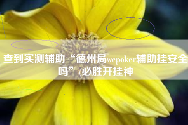 查到实测辅助“德州局wepoker辅助挂安全吗”(必胜开挂神