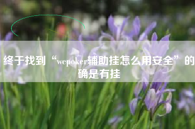 终于找到“wepoker辅助挂怎么用安全”的确是有挂