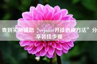 查到实测辅助“wepoker开挂透视方法	”分享装挂步骤