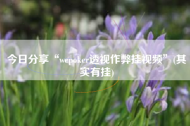 今日分享“wepoker透视作弊挂视频”(其实有挂)