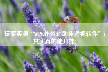 玩家实测“WPK作弊辅助挂透视软件”(其实真的能开挂)