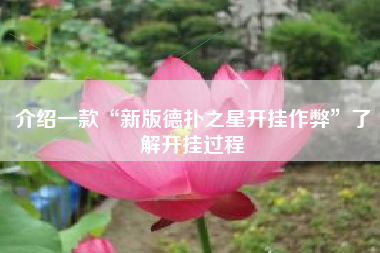 介绍一款“新版德扑之星开挂作弊”了解开挂过程