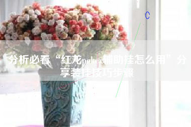 分析必看“红龙poker辅助挂怎么用”分享装挂技巧步骤