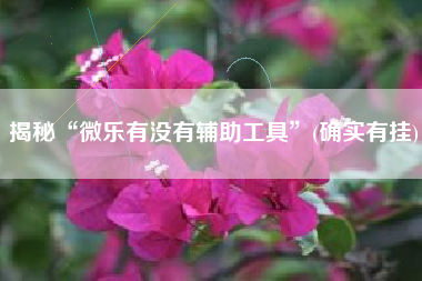 揭秘“微乐有没有辅助工具”(确实有挂)