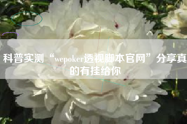 科普实测“wepoker透视脚本官网	”分享真的有挂给你