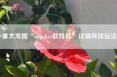 重大发现“wepoker软件挂”详细开挂玩法