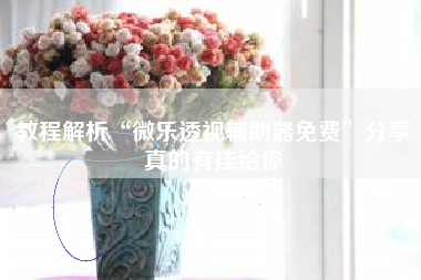 教程解析“微乐透视辅助器免费	”分享真的有挂给你