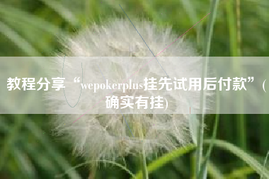 教程分享“wepokerplus挂先试用后付款	”(确实有挂)