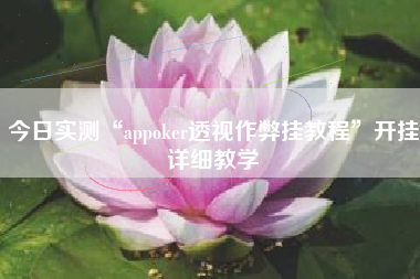 今日实测“appoker透视作弊挂教程	”开挂详细教学