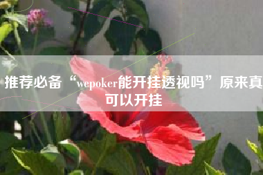 推荐必备“wepoker能开挂透视吗”原来真可以开挂