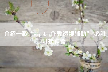 介绍一款“wepoker作弊透视辅助	”(必胜开挂神器)