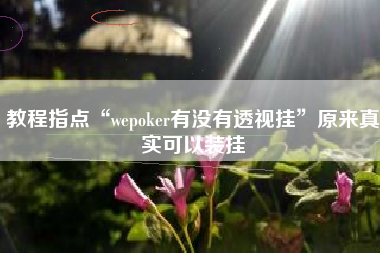 教程指点“wepoker有没有透视挂”原来真实可以装挂