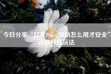 今日分享“红龙Poker辅助怎么用才安全	”详细开挂玩法