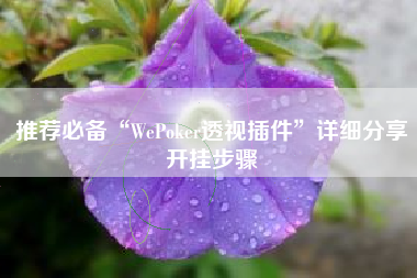 推荐必备“WePoker透视插件”详细分享开挂步骤