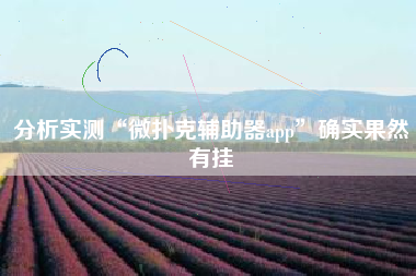 分析实测“微扑克辅助器app”确实果然有挂