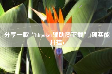 分享一款“hhpoker辅助器下载”(确实能开挂)