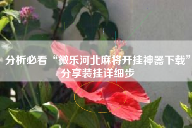 分析必看“微乐河北麻将开挂神器下载”分享装挂详细步