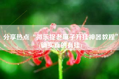 分享热点“微乐捉老麻子开挂神器教程”(确实真的有挂)