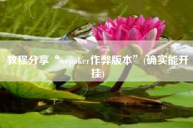 教程分享“wepoker作弊版本	”(确实能开挂)