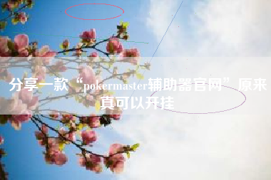 分享一款“pokermaster辅助器官网	”原来真可以开挂