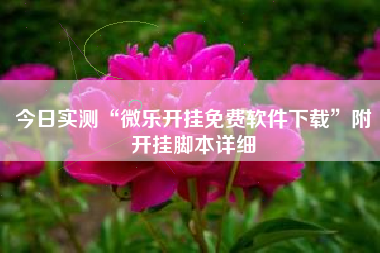 今日实测“微乐开挂免费软件下载”附开挂脚本详细