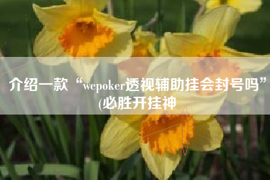 介绍一款“wepoker透视辅助挂会封号吗	”(必胜开挂神