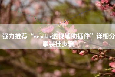 强力推荐“wepoker透视辅助插件”详细分享装挂步骤