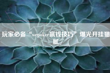 玩家必备“wepoker赢钱技巧”爆光开挂猫腻