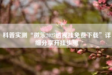 科普实测“微乐2025透视挂免费下载”详细分享开挂步骤