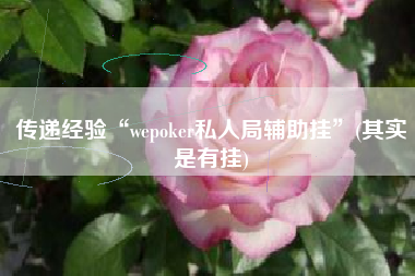传递经验“wepoker私人局辅助挂”(其实是有挂)