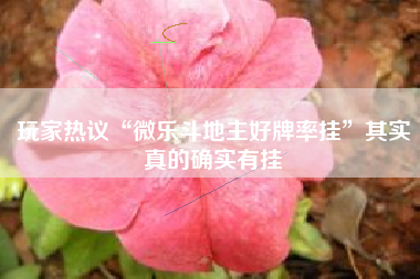 玩家热议“微乐斗地主好牌率挂”其实真的确实有挂