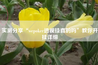 实测分享“wepoker透视挂真的吗”教你开挂详细