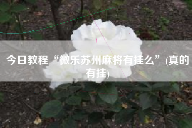 今日教程“微乐苏州麻将有挂么	”(真的有挂)