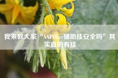我来教大家“AAPOker辅助挂安全吗”其实真的有挂