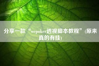 分享一款“wepoker透视脚本教程”(原来真的有挂) 分享一款“wepoker透视脚本教程”(原来真的有挂)