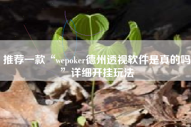 推荐一款“wepoker德州透视软件是真的吗”详细开挂玩法