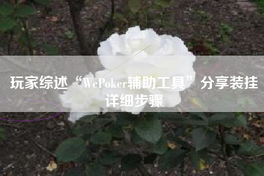 玩家综述“WePoker辅助工具”分享装挂详细步骤