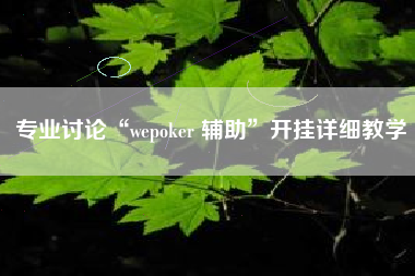 专业讨论“wepoker 辅助”开挂详细教学