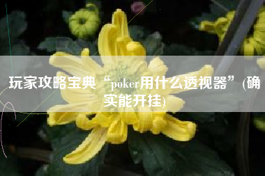 玩家攻略宝典“poker用什么透视器	”(确实能开挂)